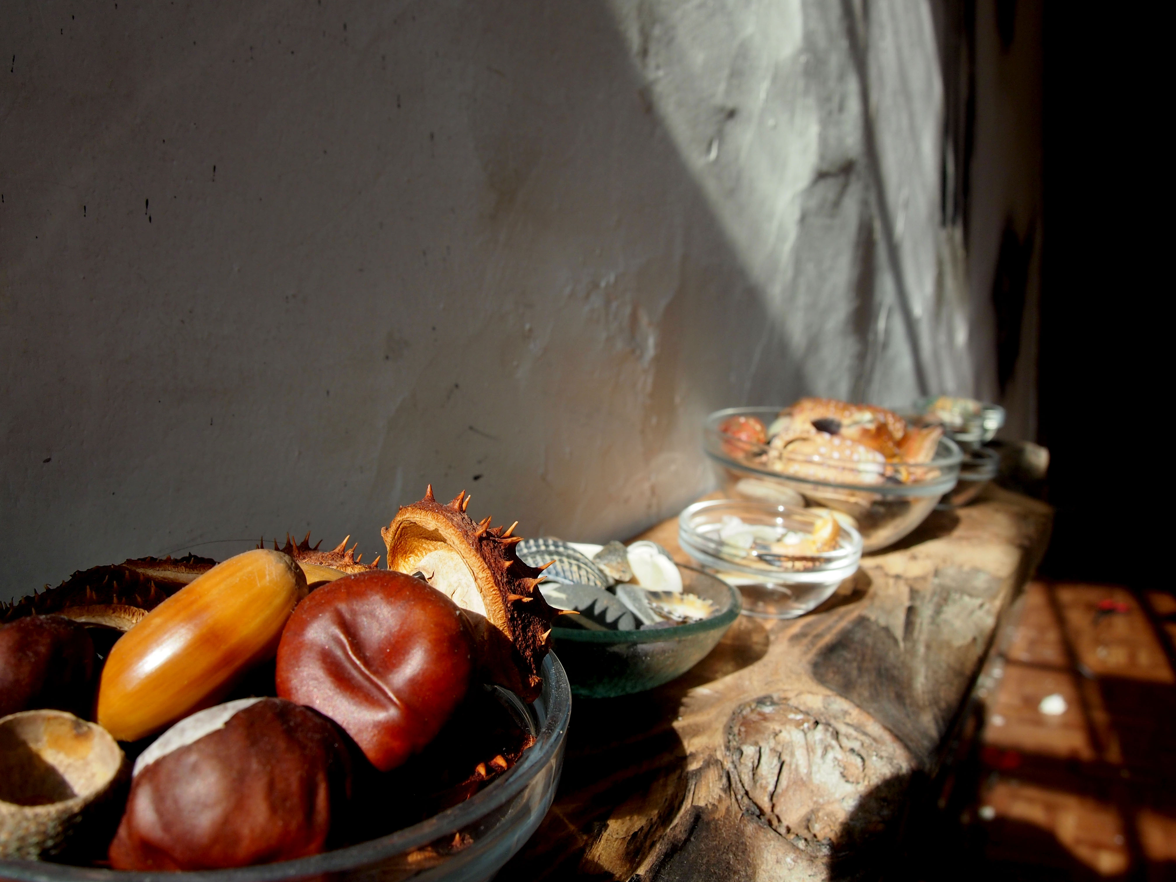 Miramar/Espinho Palette image Georgia Green