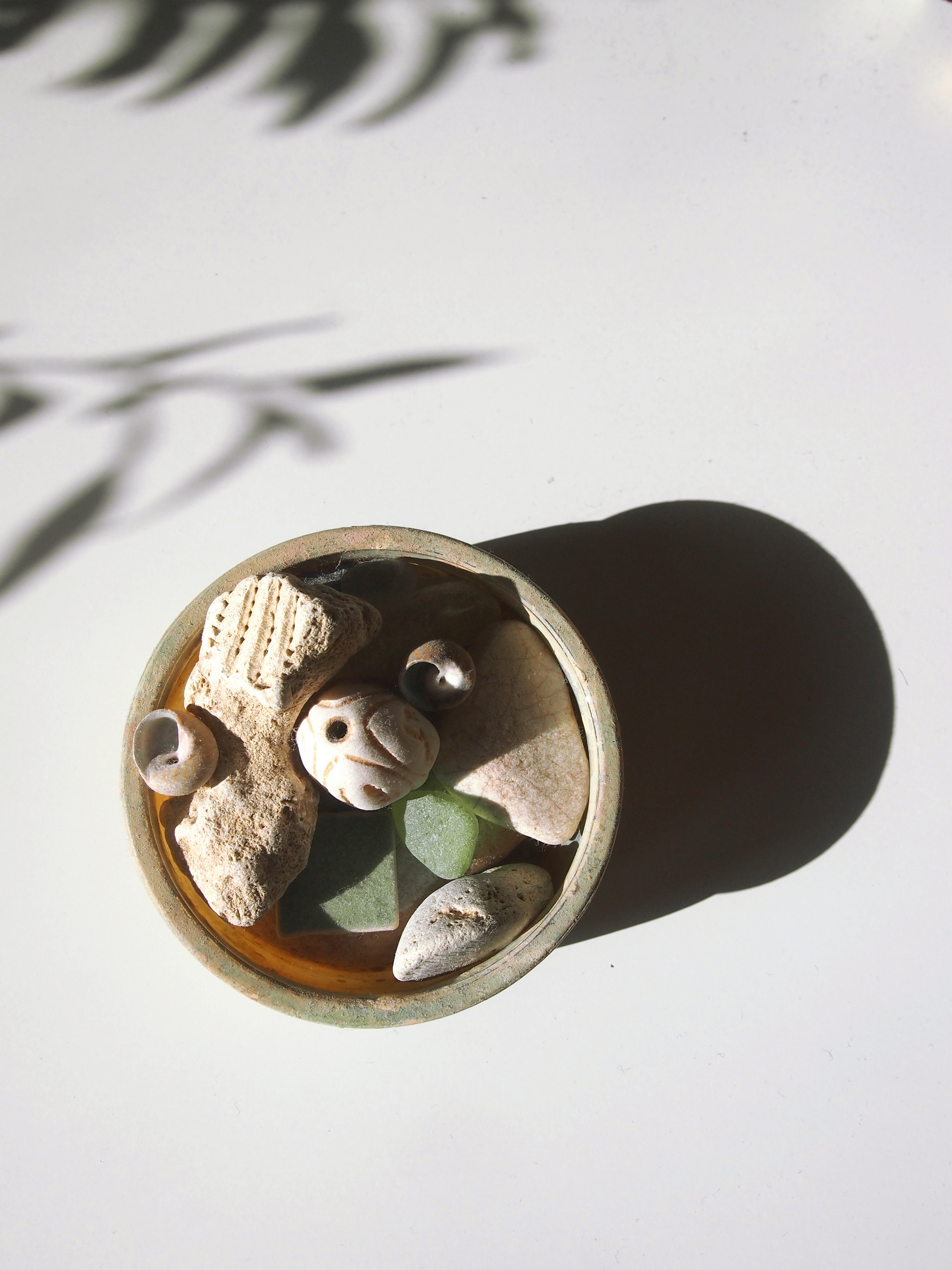 Kakapo Palette Source Georgia Green