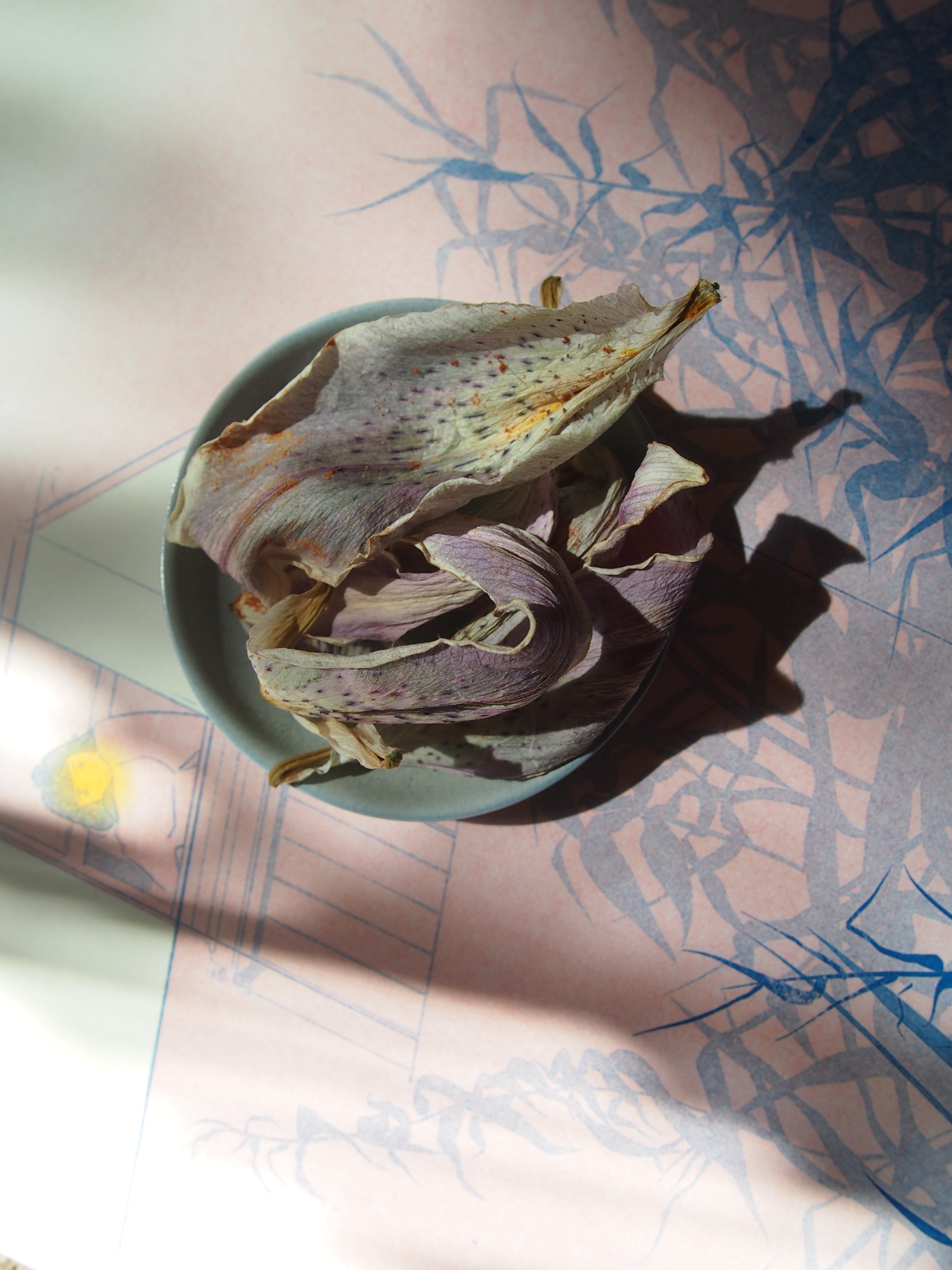 April Palette Source Georgia Green