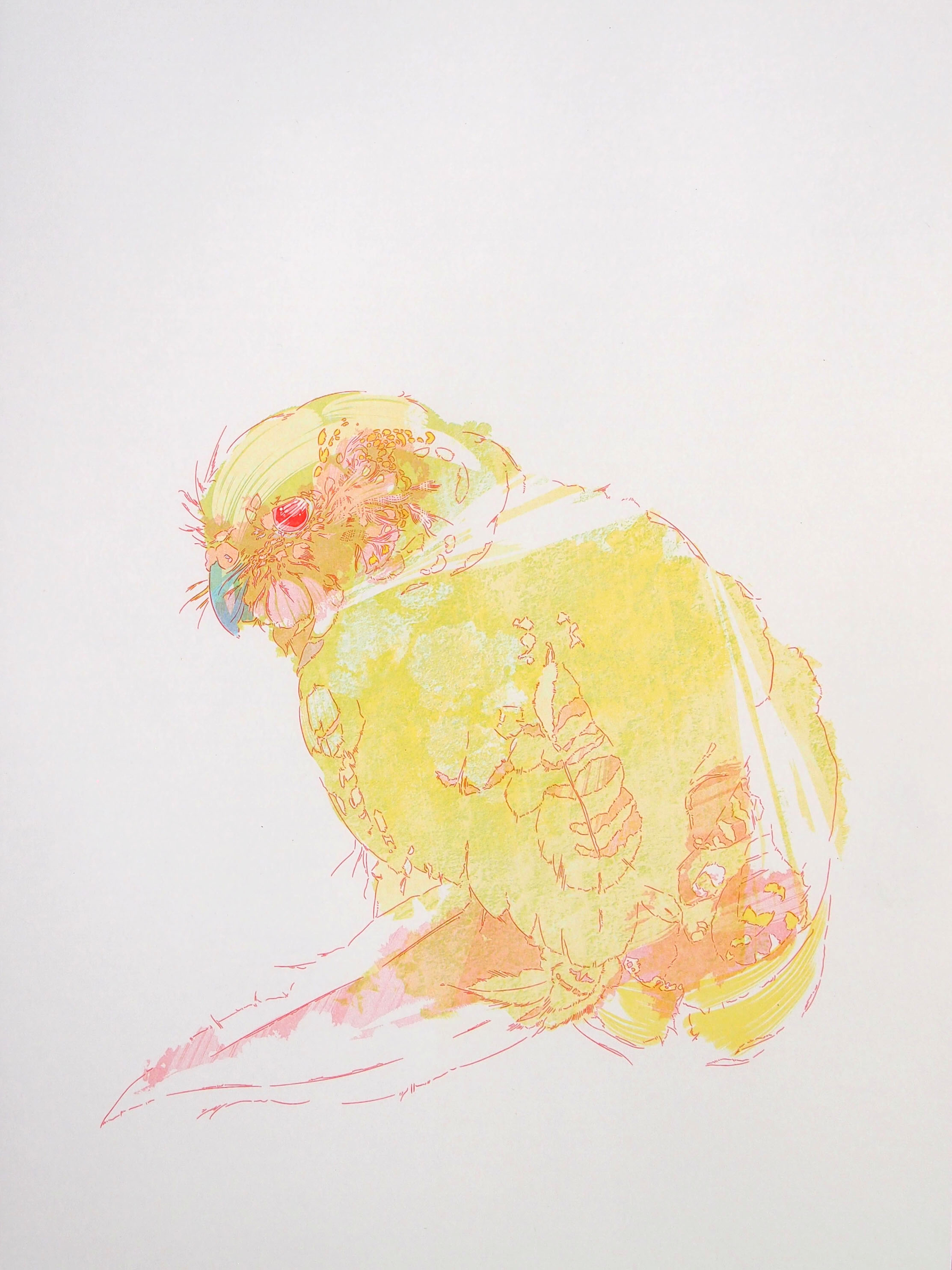 Kakapo Palette Georgia Green